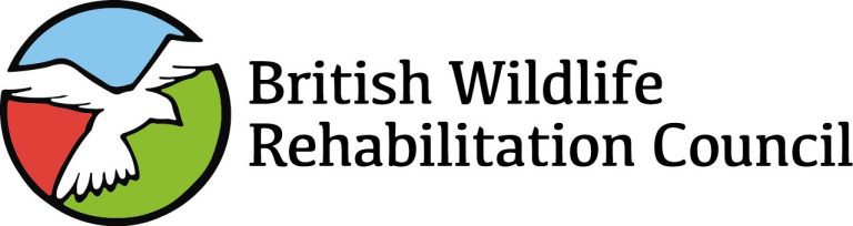 Logo for Government Social Research with Welsh and English.